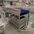 Fruit vegetable brush washing machine from Colead